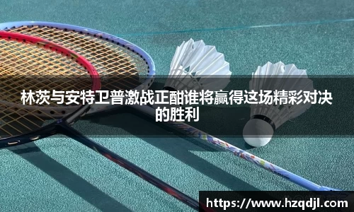 林茨与安特卫普激战正酣谁将赢得这场精彩对决的胜利