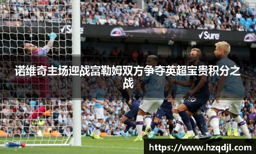 诺维奇主场迎战富勒姆双方争夺英超宝贵积分之战